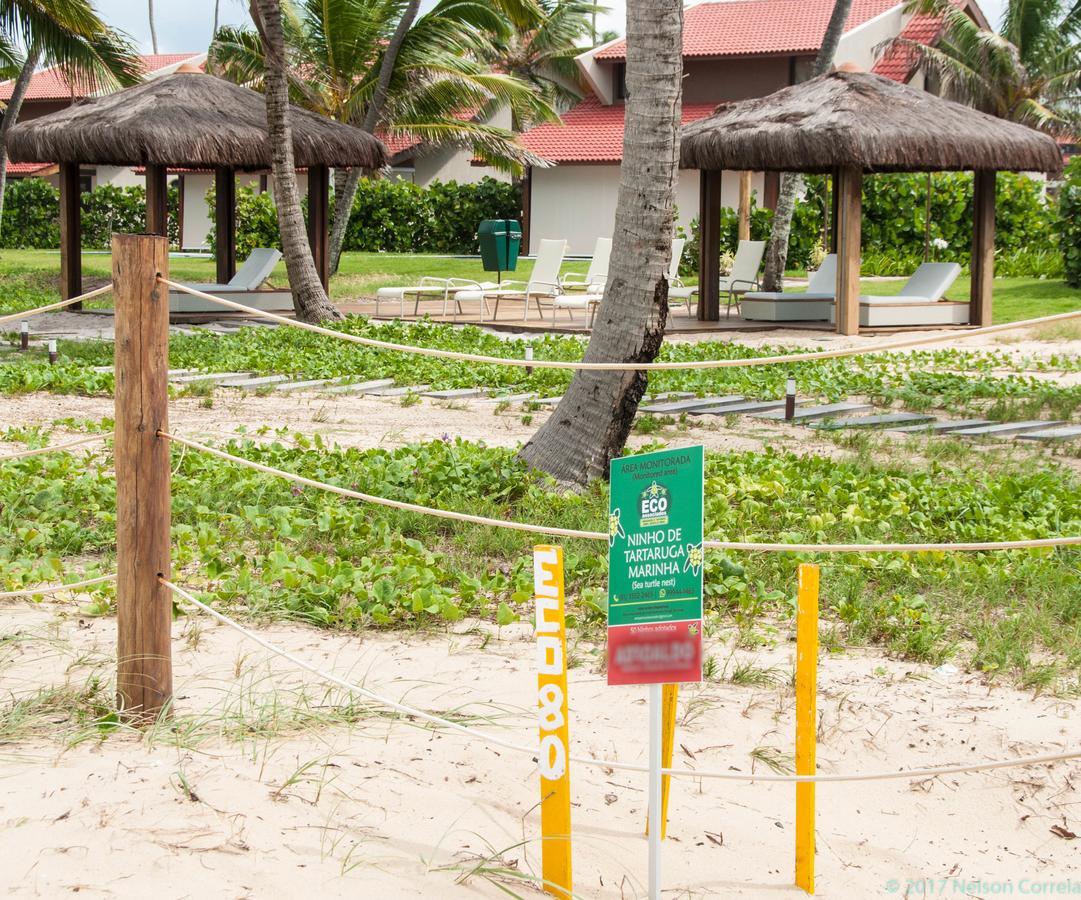 Apto Oka Beach Residence Pôrto das Galinhas Eksteriør billede