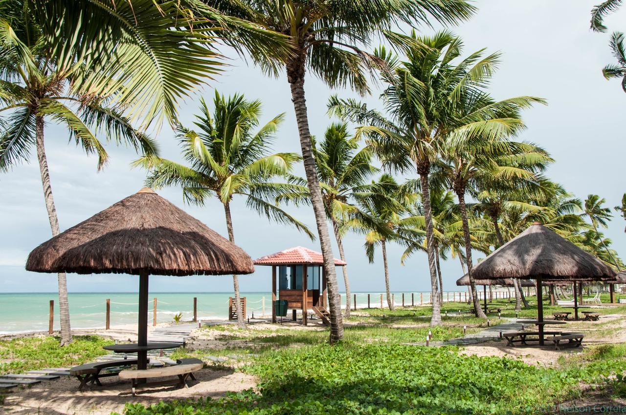 Apto Oka Beach Residence Pôrto das Galinhas Eksteriør billede